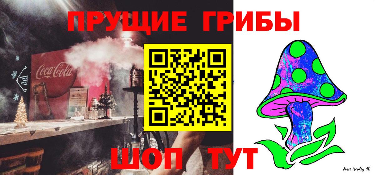 Галлюциногенные грибы Psilocybine cubensis  Вход с VPN  Холмск 