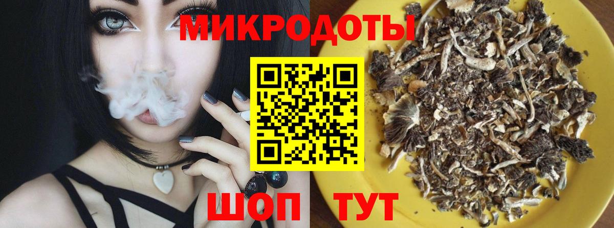 Галлюциногенные грибы Psilocybe Холмск