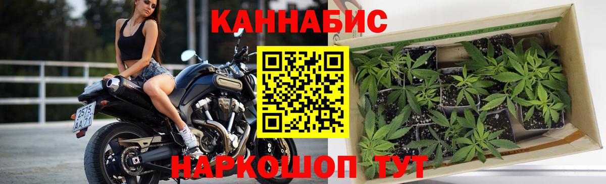 Бошки Шишки марихуана Холмск